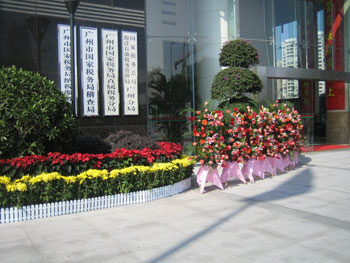 大(da)們(men)裝(zhuang)飾植物(wù)租賃